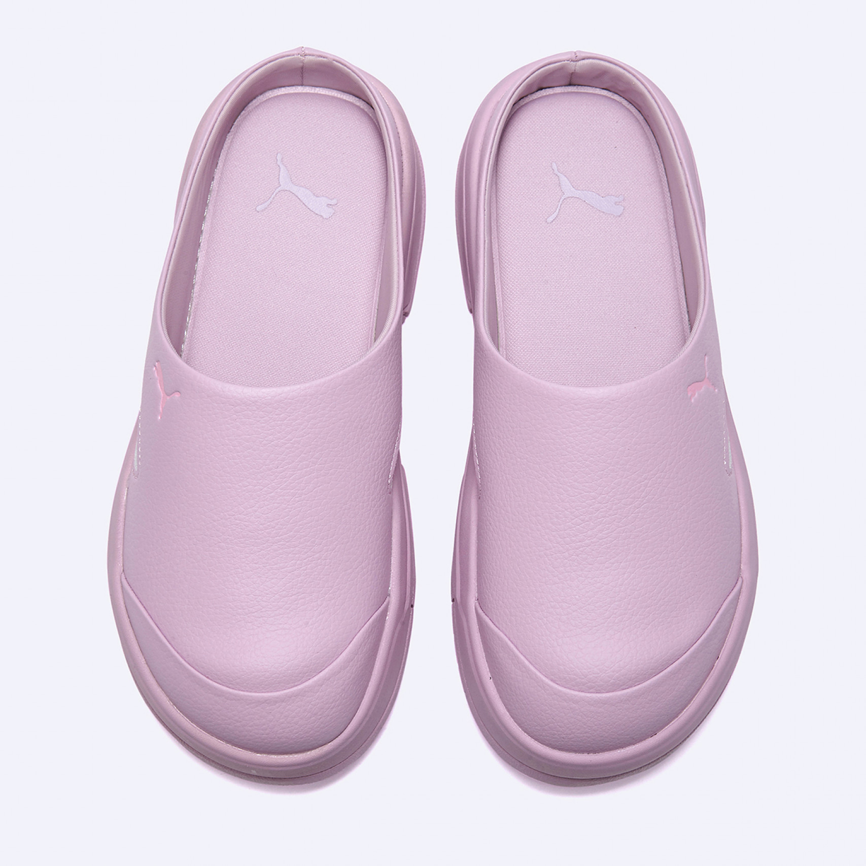 캘리포니아 뮬 핑크 라일락 여성 / 39524901