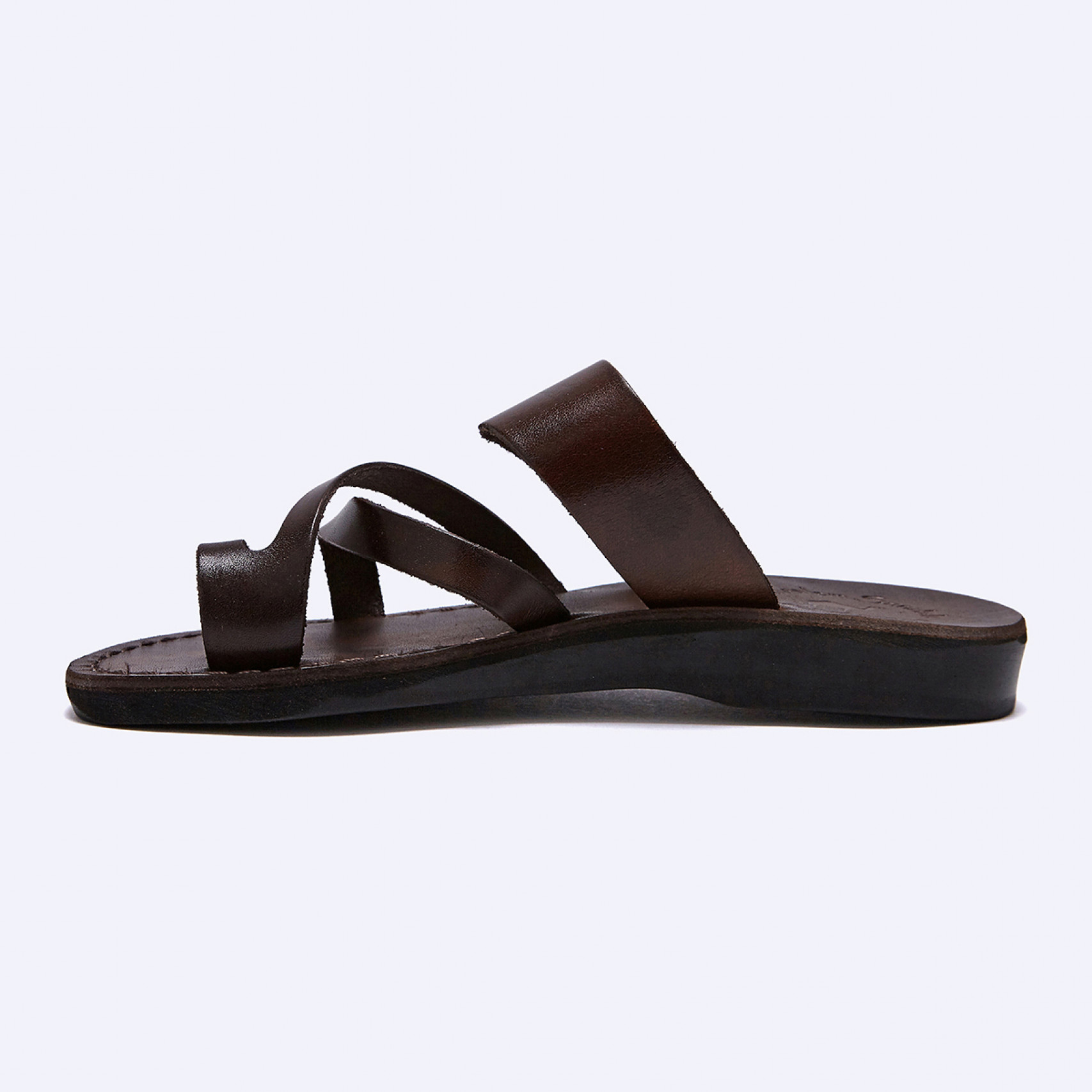 셰퍼드 브라운 / NO.8