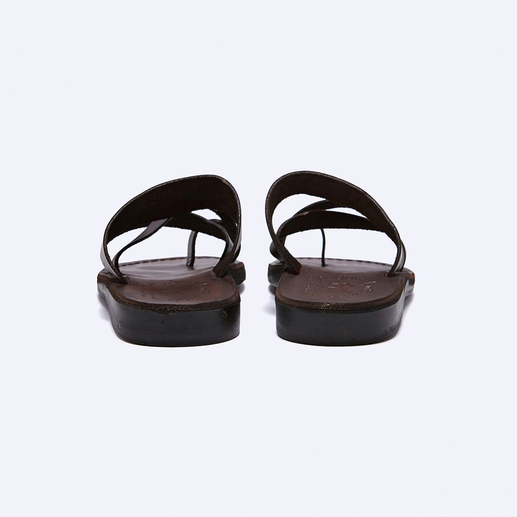 셰퍼드 브라운 / NO.8