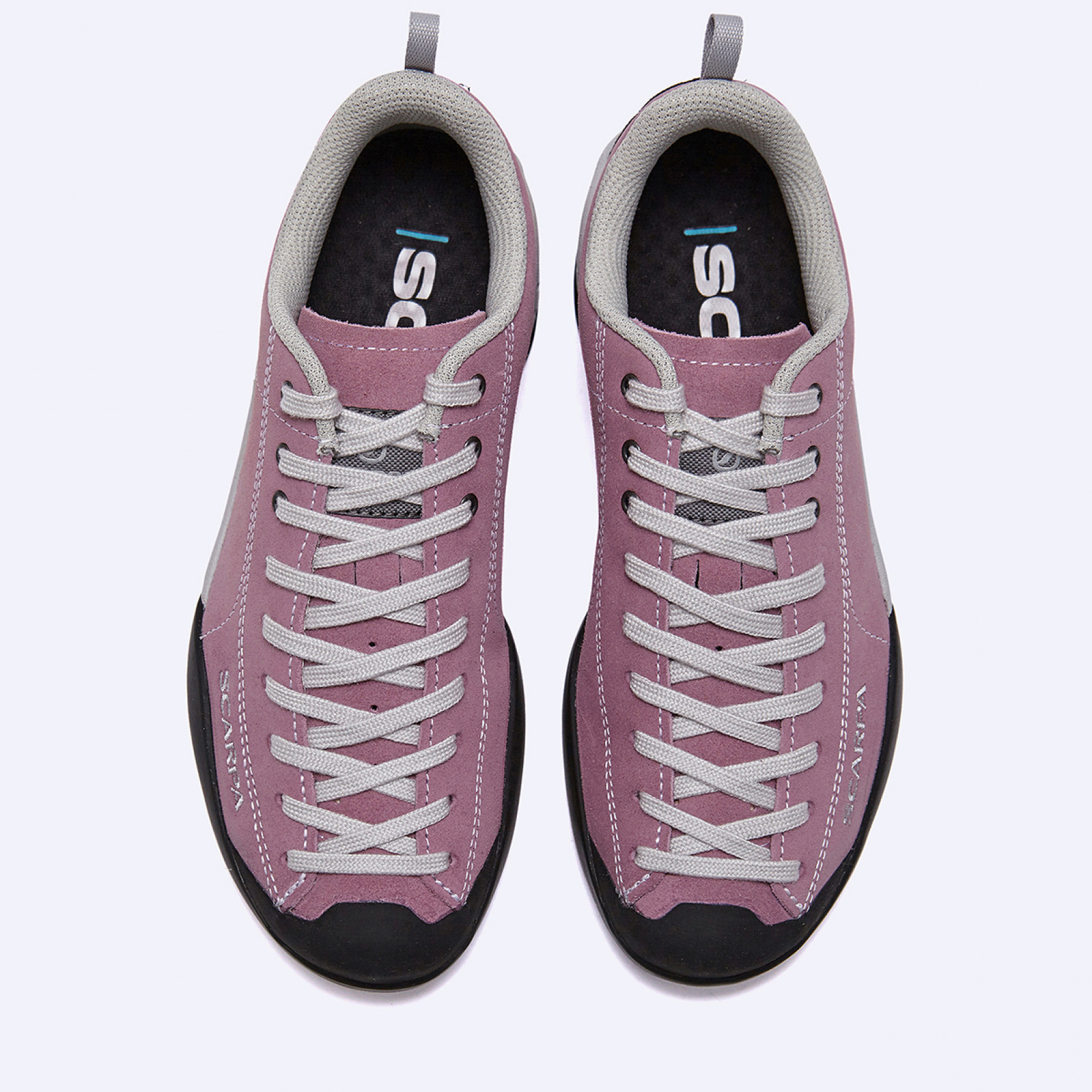 모히또 치프리아 / DFNXU32605