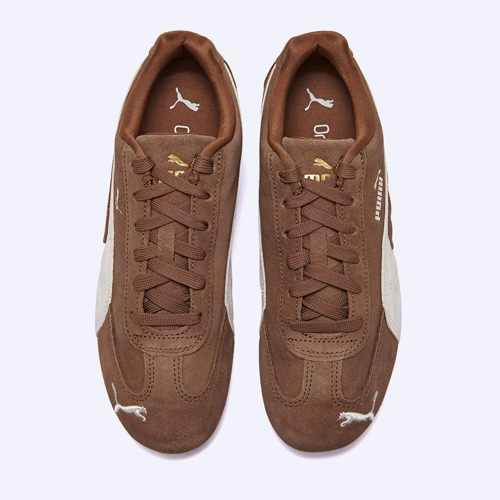 스피드캣 OG 오트커피 / 39884631