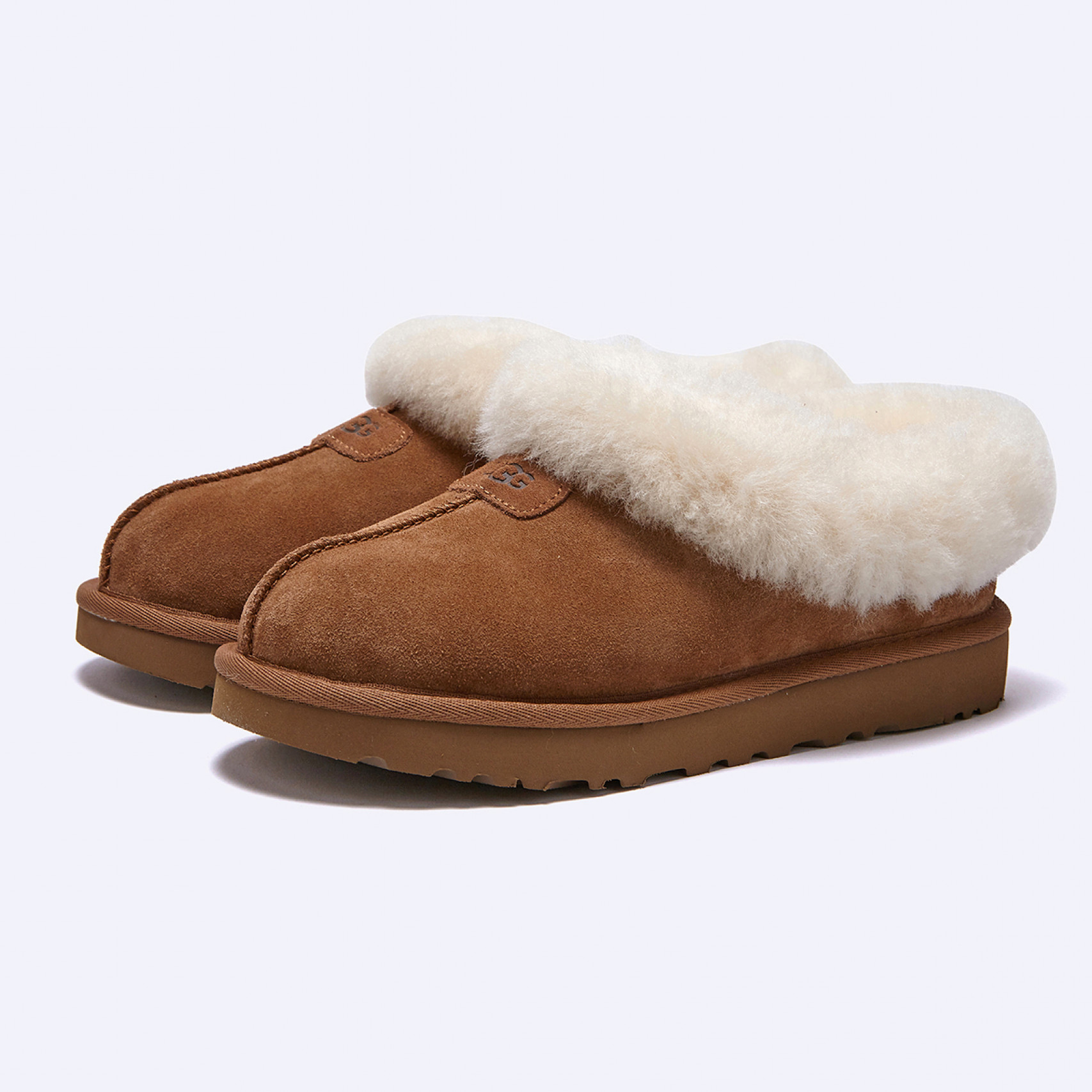 (35% 쿠폰) 타제트 양털 슬리퍼 체스트넛 여성 / 1134810-CHE