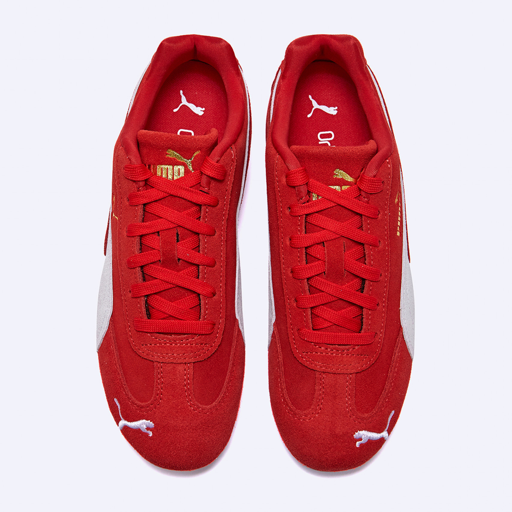 스피드캣 OG 레드 화이트 / 39884602