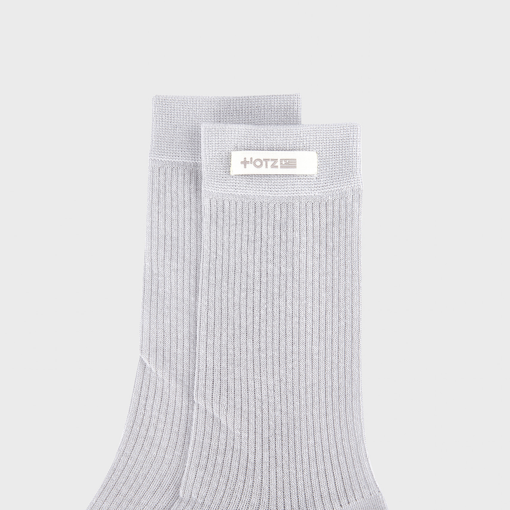 베이직 시스루 삭스 그레이 / FLOTGA2L28