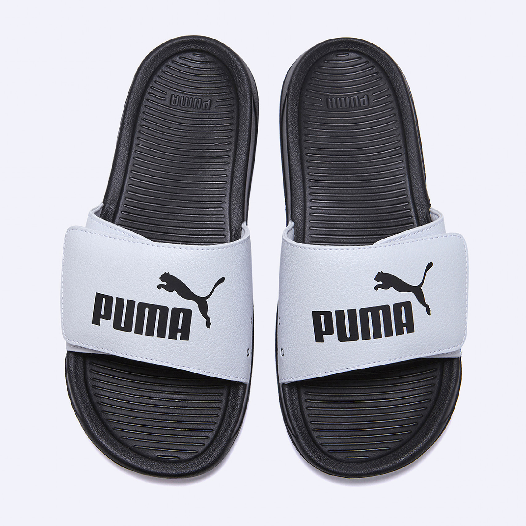 로얄캣 컴포트 2 에센셜 / 40428102