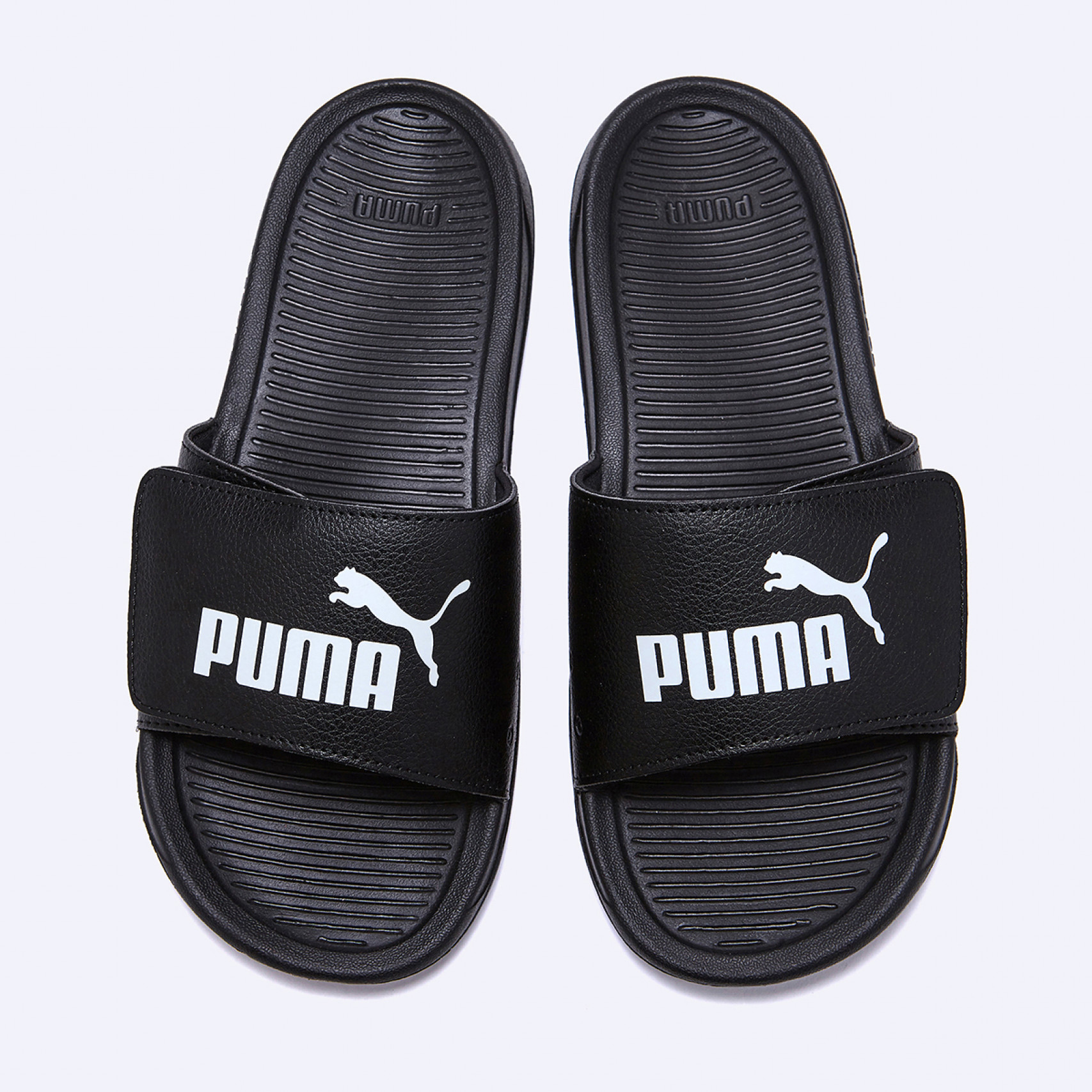 로얄캣 컴포트 2 에센셜 / 40428101